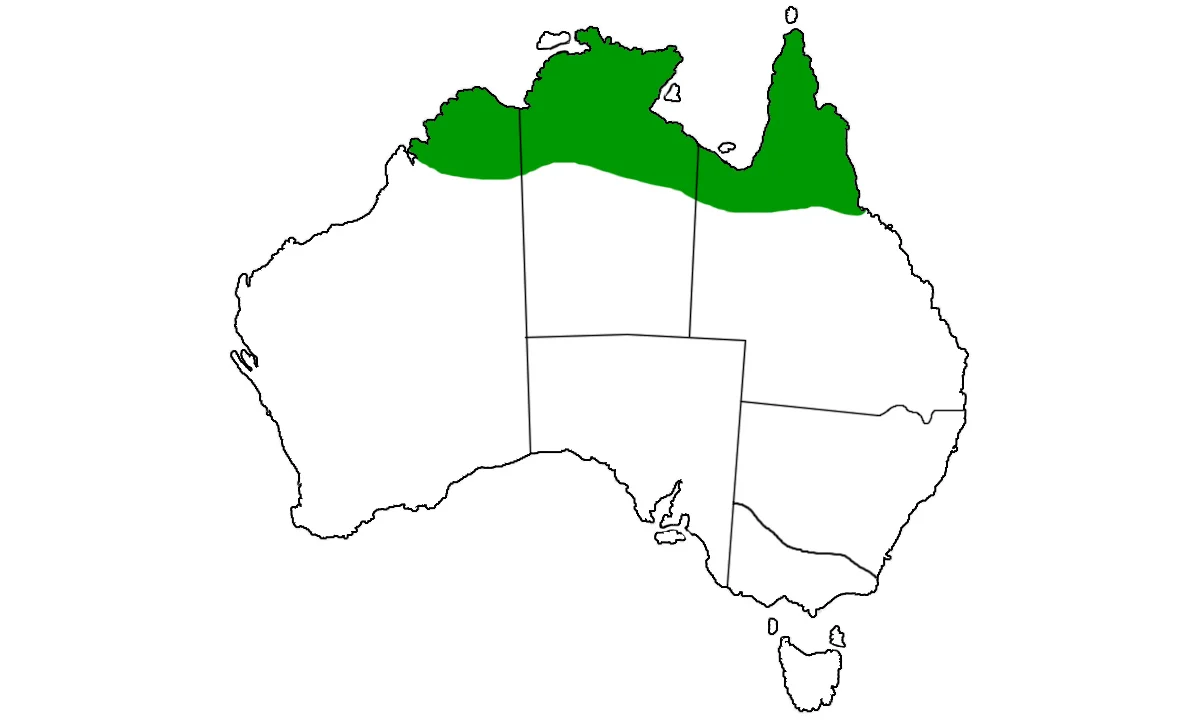 Crocodylus-johnsoni-range.jpg