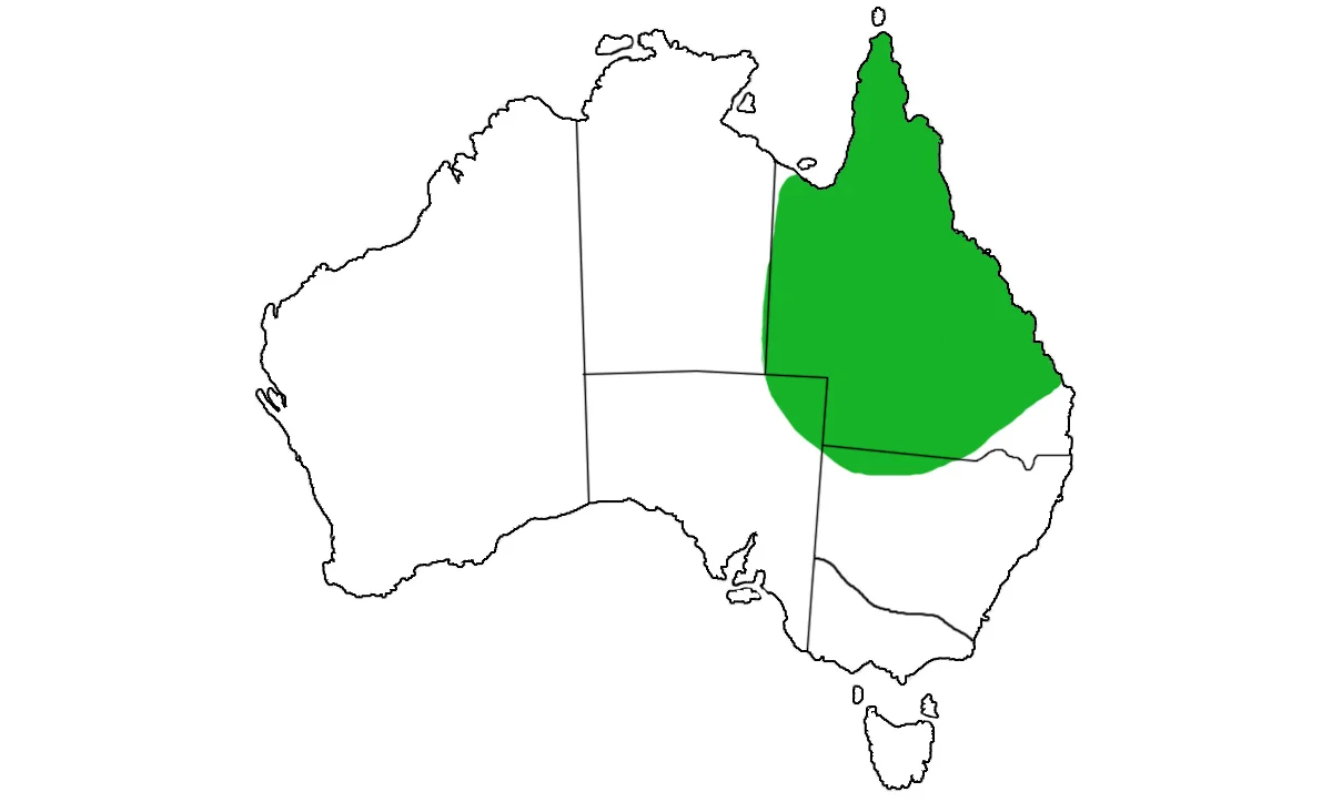 Cyclorana-platycephala-range.jpg