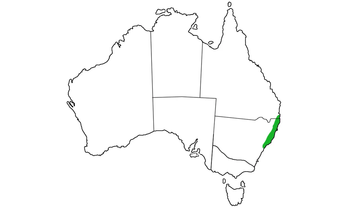 Egernia-major-range.jpg