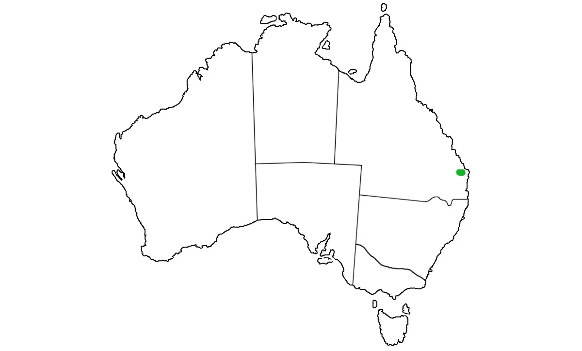 Elusor-macrurus-range.jpg