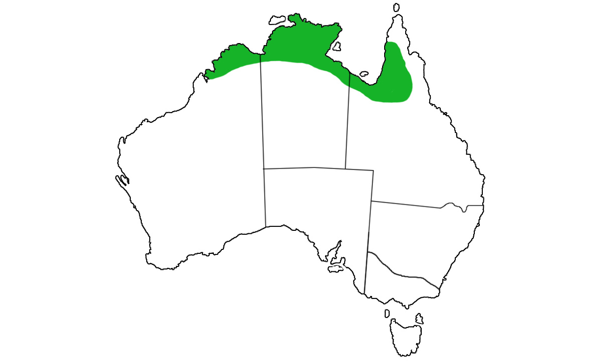 Erythrura-gouldiae-range.jpg