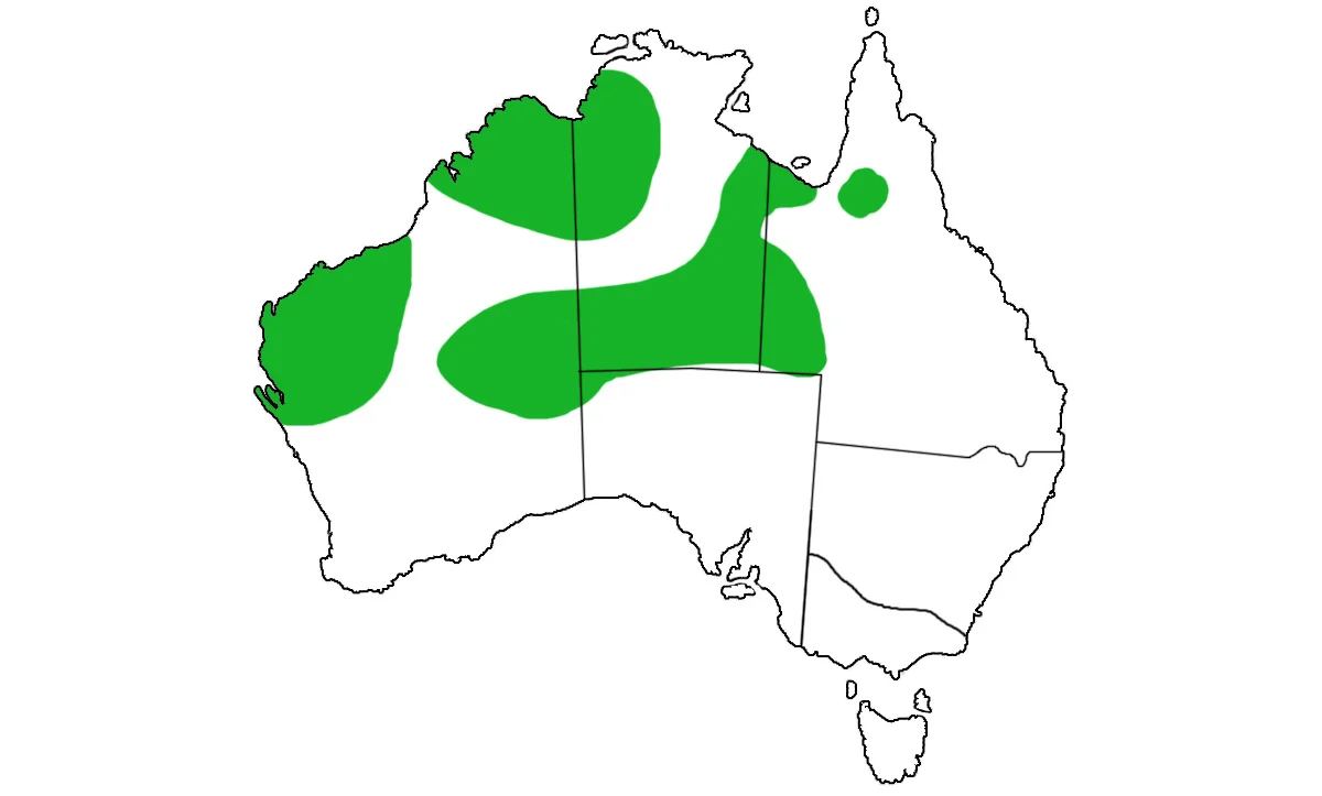 Geophaps-plumifera-range.jpg