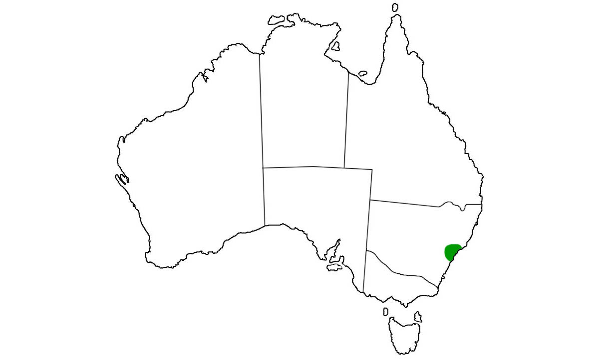 Hoplocephalus-bungaroides-range.jpg