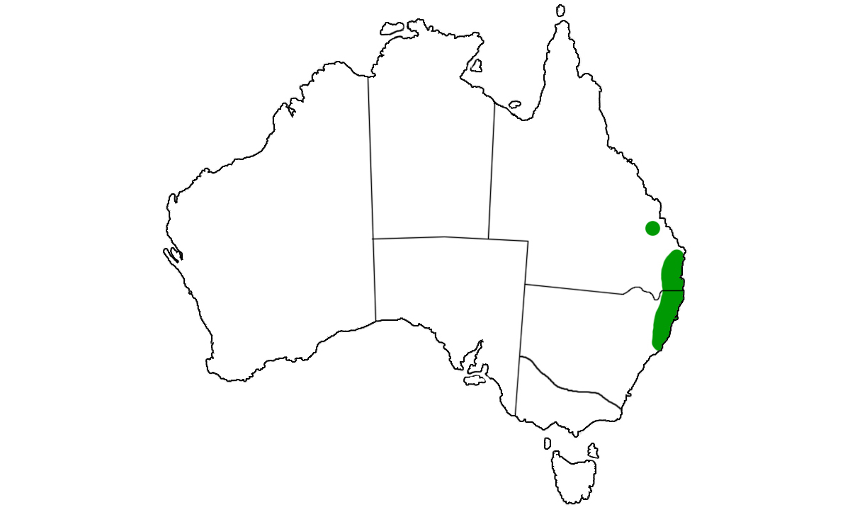 Hoplocephalus-stephensii-range.jpg