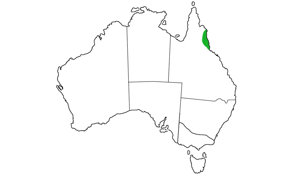 Hypsilurus-boydii-range.jpg
