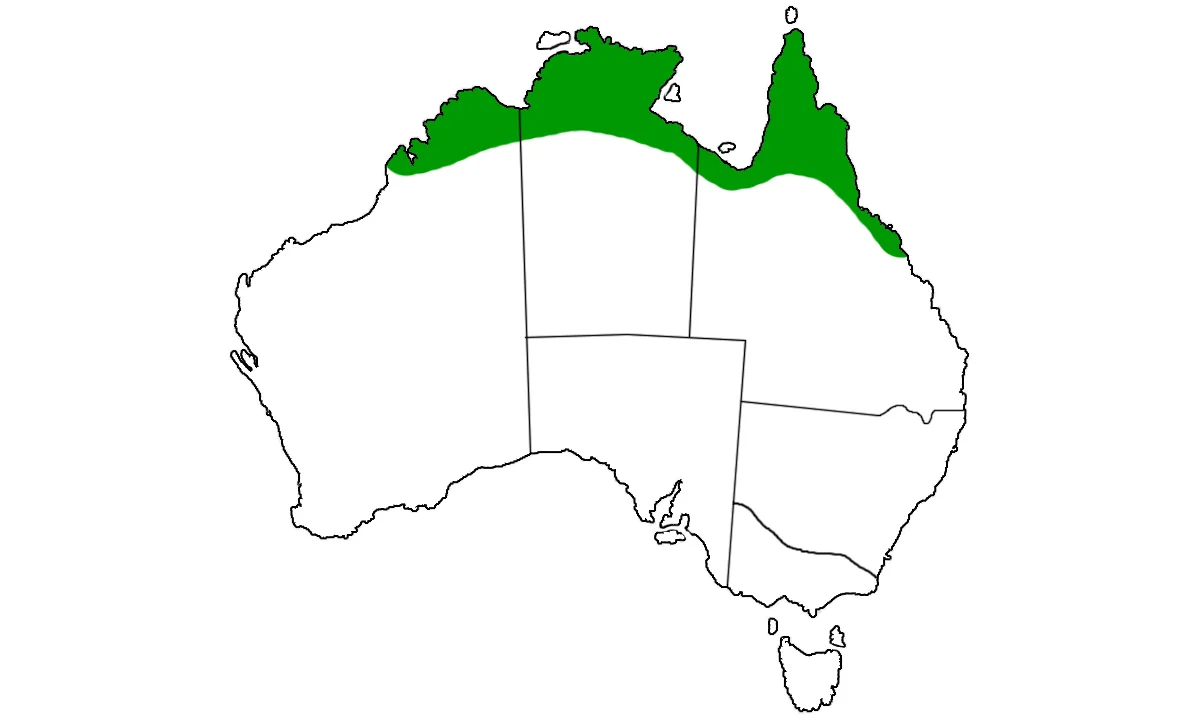 Liasis-mackloti-range.jpg