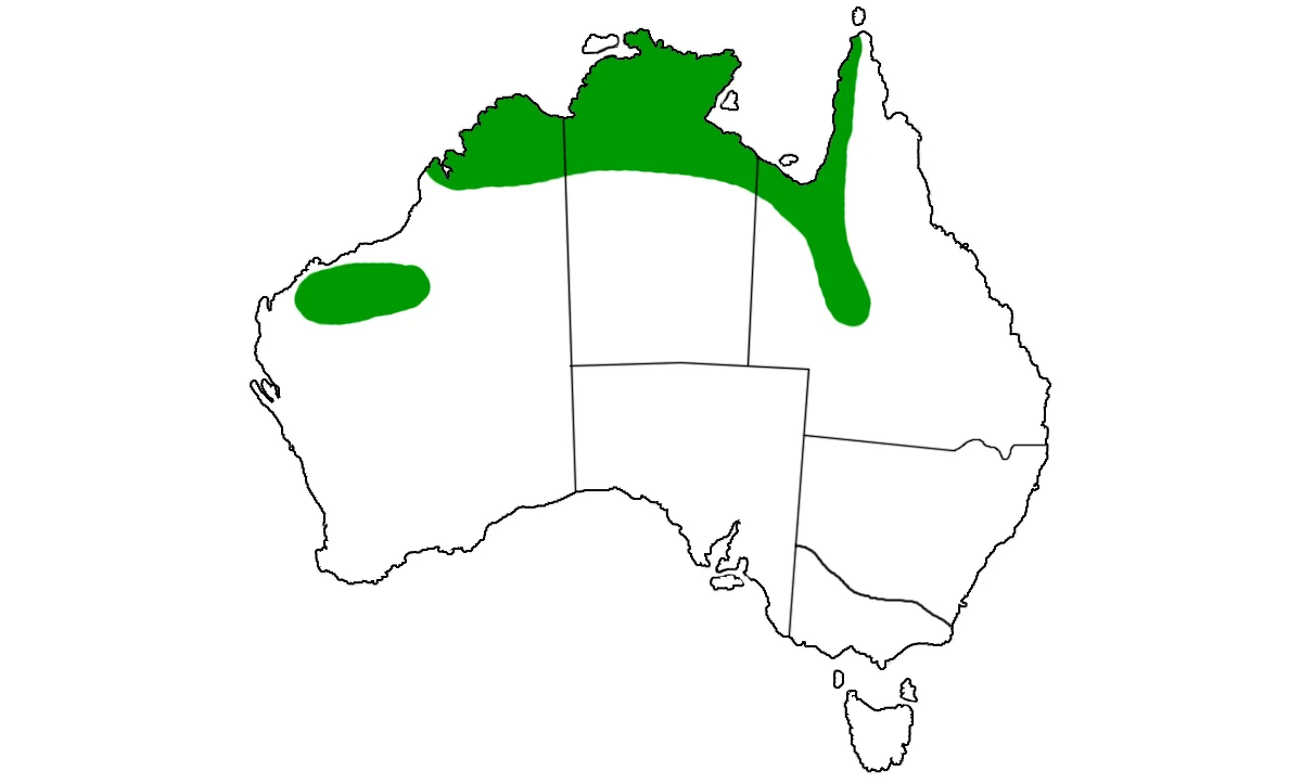 Liasis-olivaceus-range.jpg