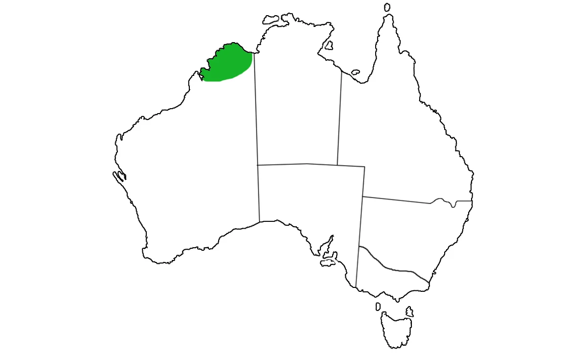 Litoria-splendida-range.jpg