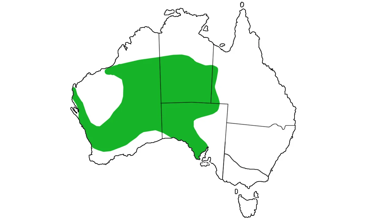 Moloch-horridus-range.jpg