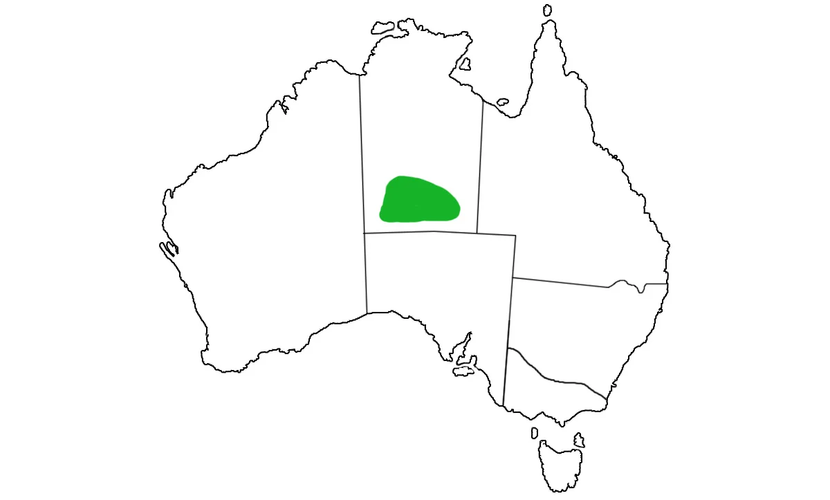 Nephrurus-amyae-range.jpg