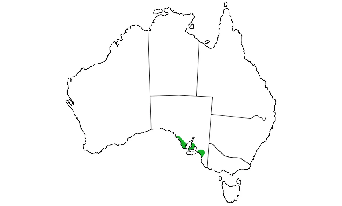 Notechis-ater-niger-range.jpg