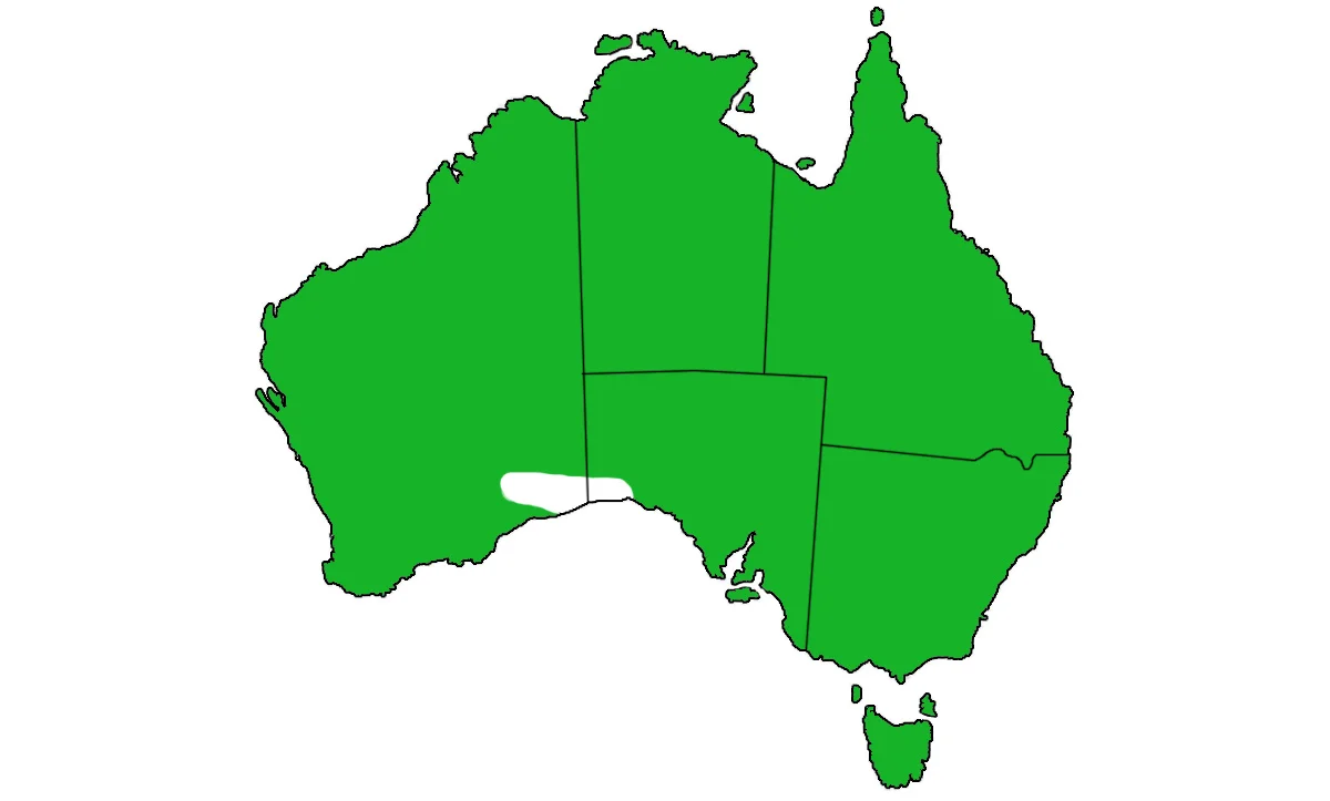 Podargus-strigoides-range.jpg