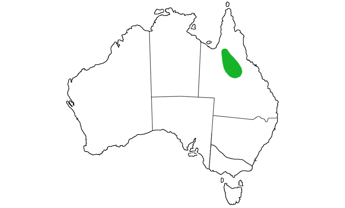 Pogona-henrylawsoni-range.jpg