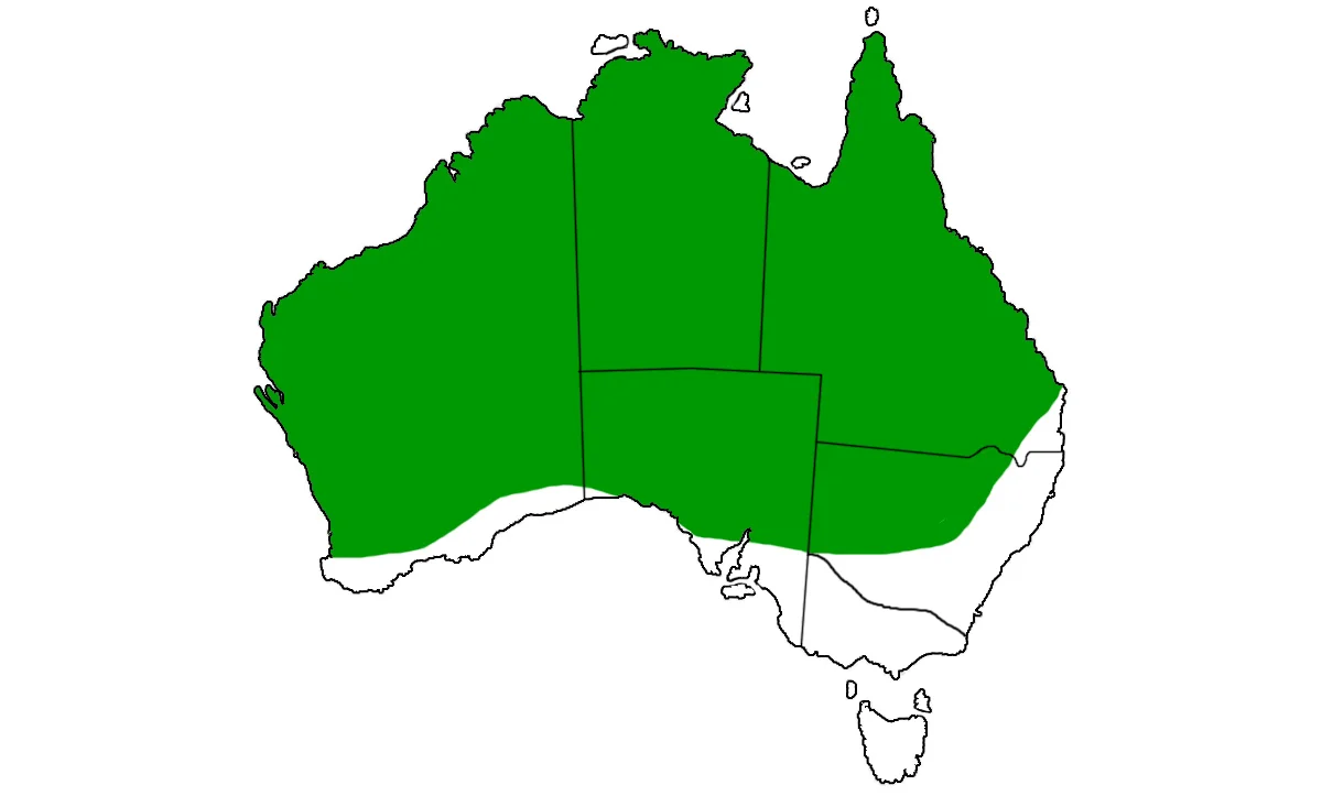 Pseudechis-australis-range.jpg