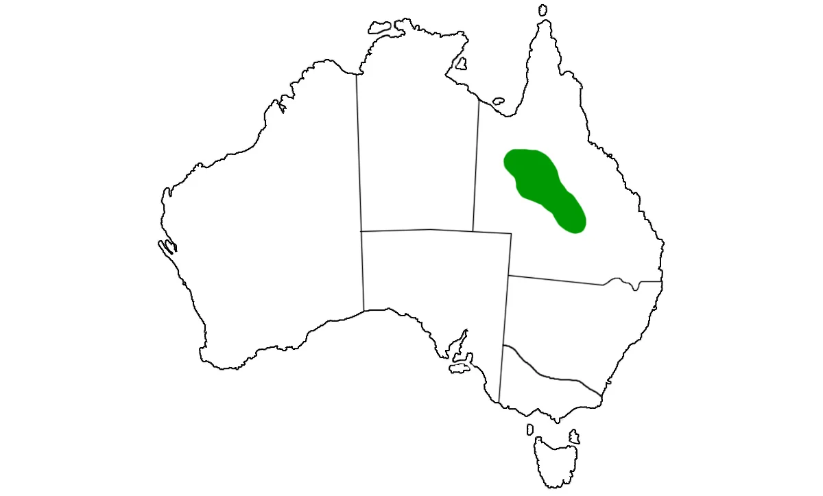 Pseudechis-colletti-range.jpg