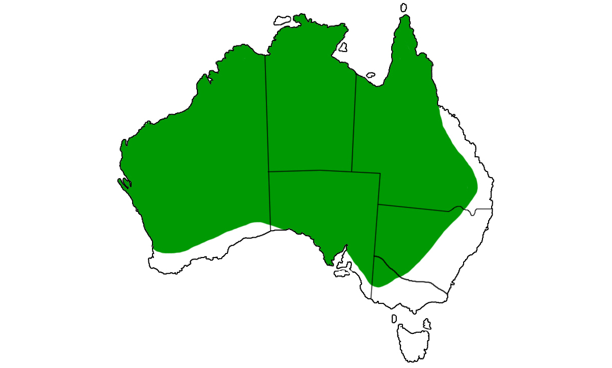 Pseudonaja-nuchalis-range.jpg