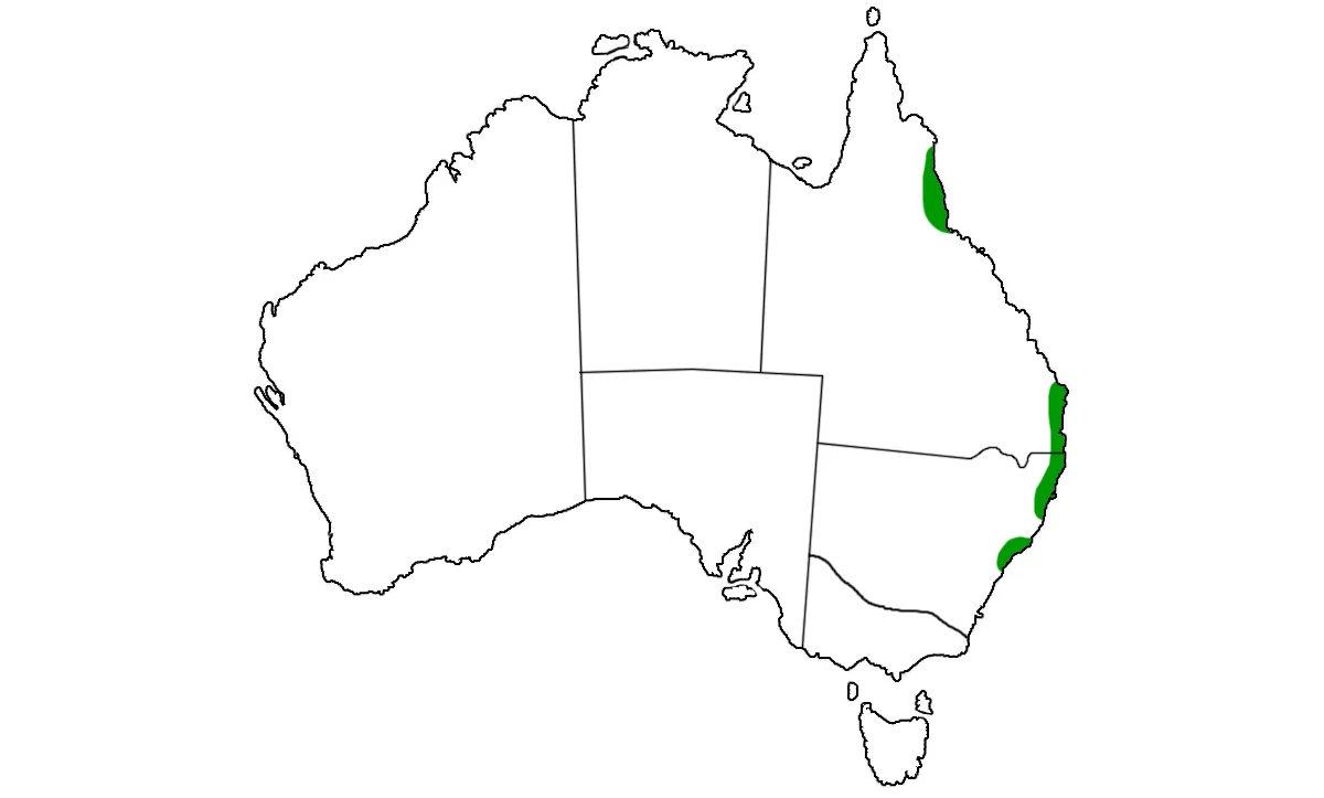 Tropidechis-carinatus-range.jpg