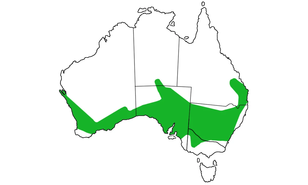 Underwoodisaurus-milii-range.jpg