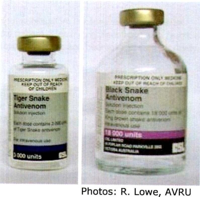 Black-Snake-treatment.jpg
