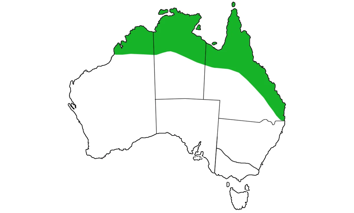 Chlamydosaurus-kingii-range.jpg