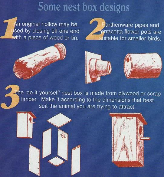 Some-Nest-Box-Designs1.jpg