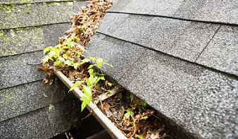 Leaves in Gutter-small.png