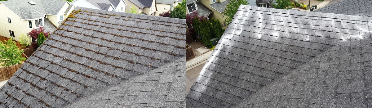 Before and after. The moss-covered roof is cleaned and zinc is applied to help prevent further growth.