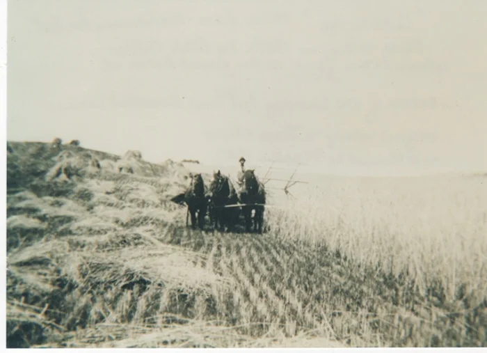 Farming-10.jpg