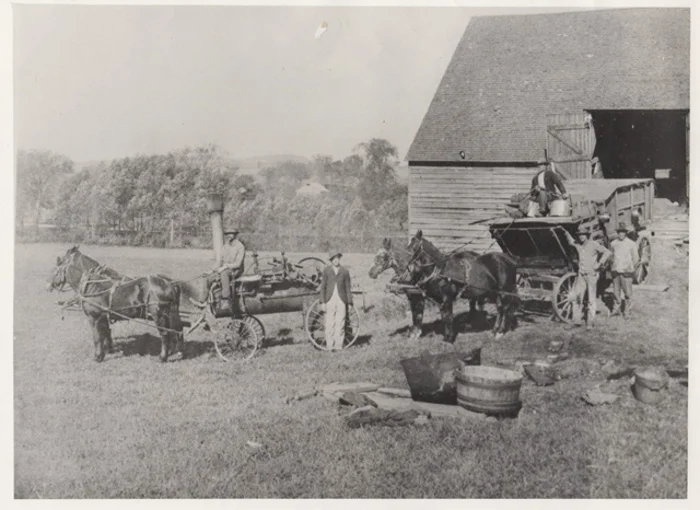 Farming-3.jpg