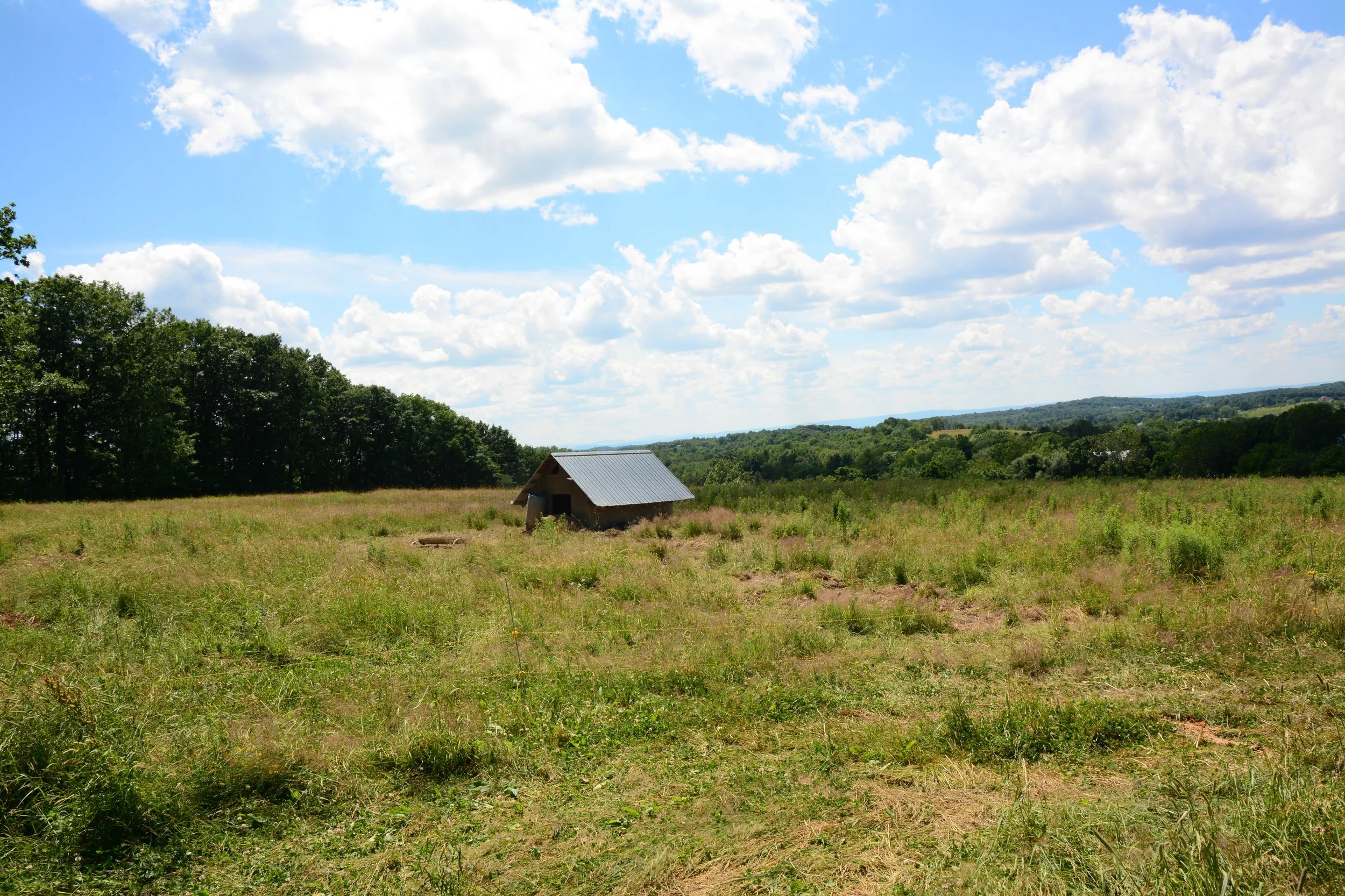 The Morrison Farm: 250 years of Agriculture
