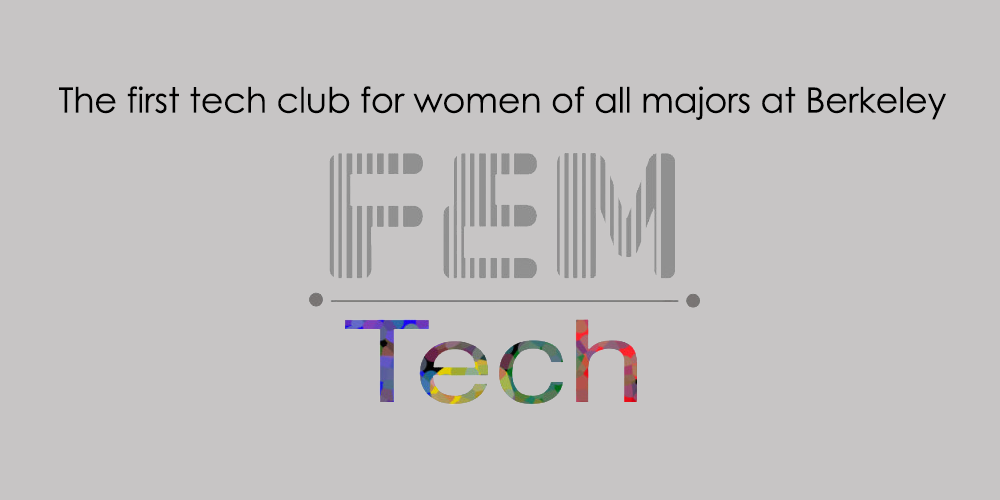 Workshop at FEMTech