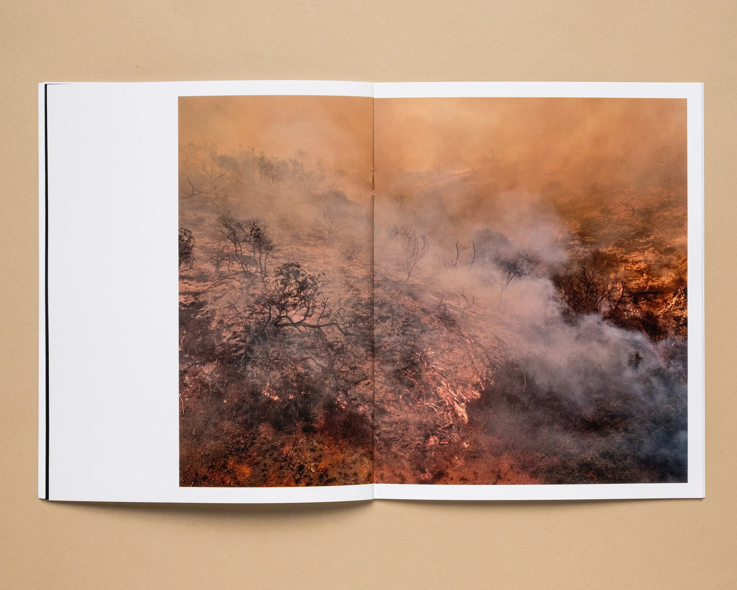 Philip_Cheung_Wildfire_12.jpg
