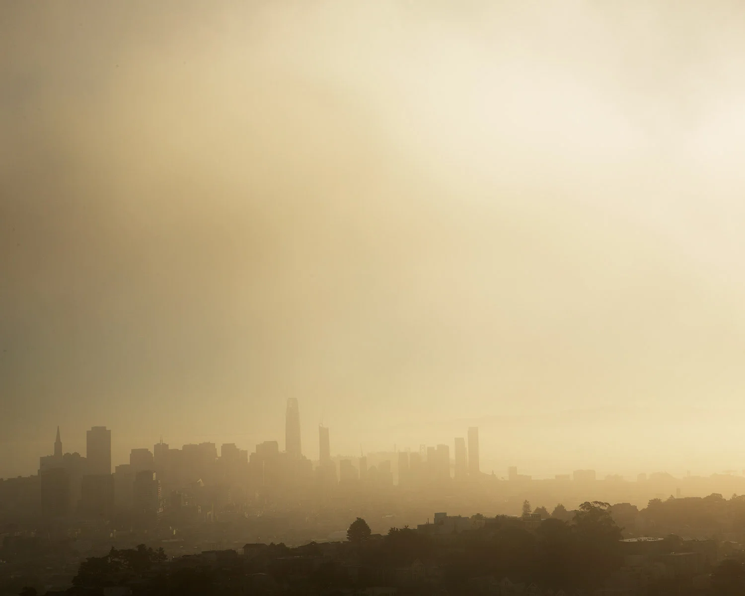 sf01.jpg