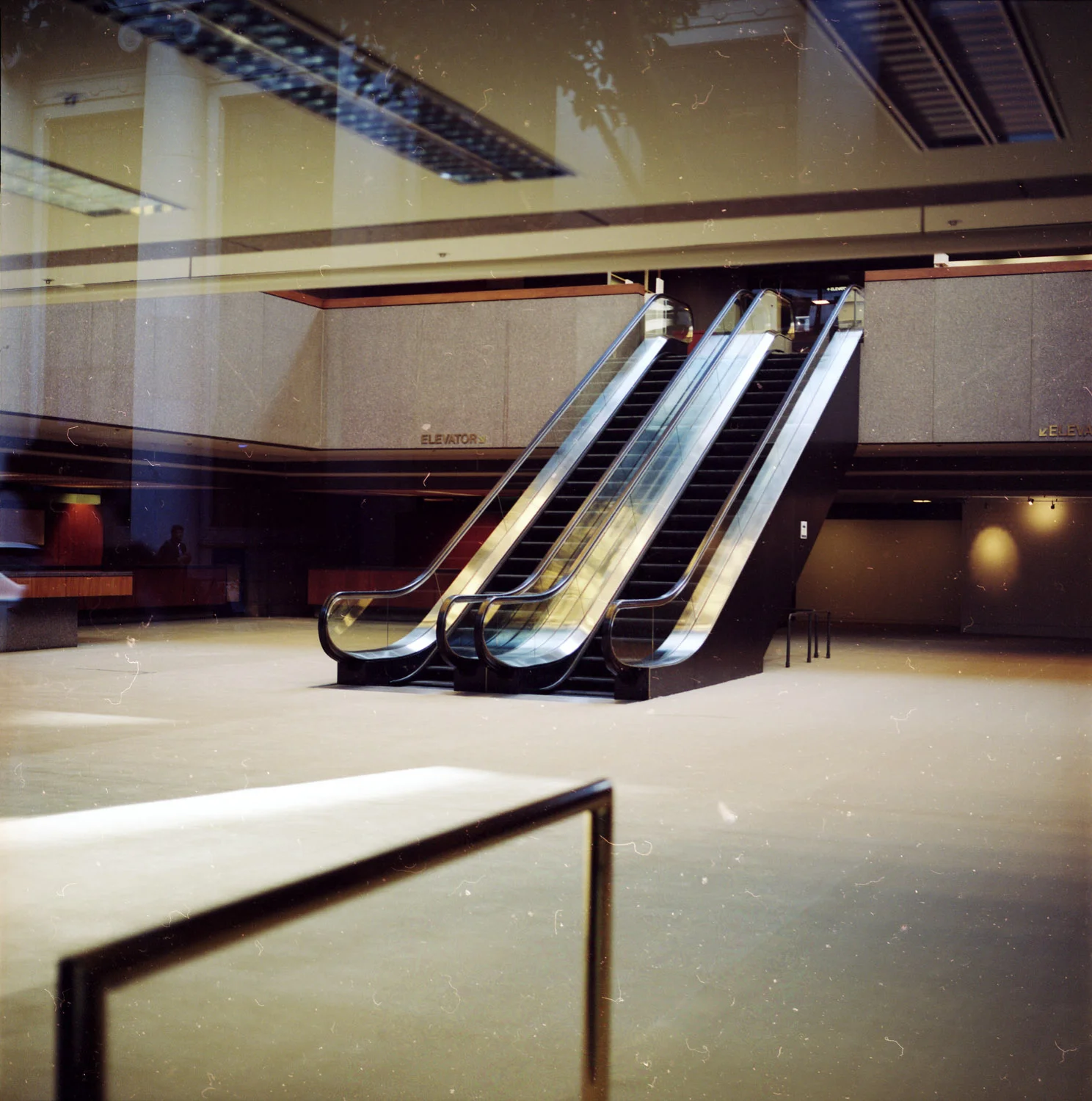 sf03.jpg