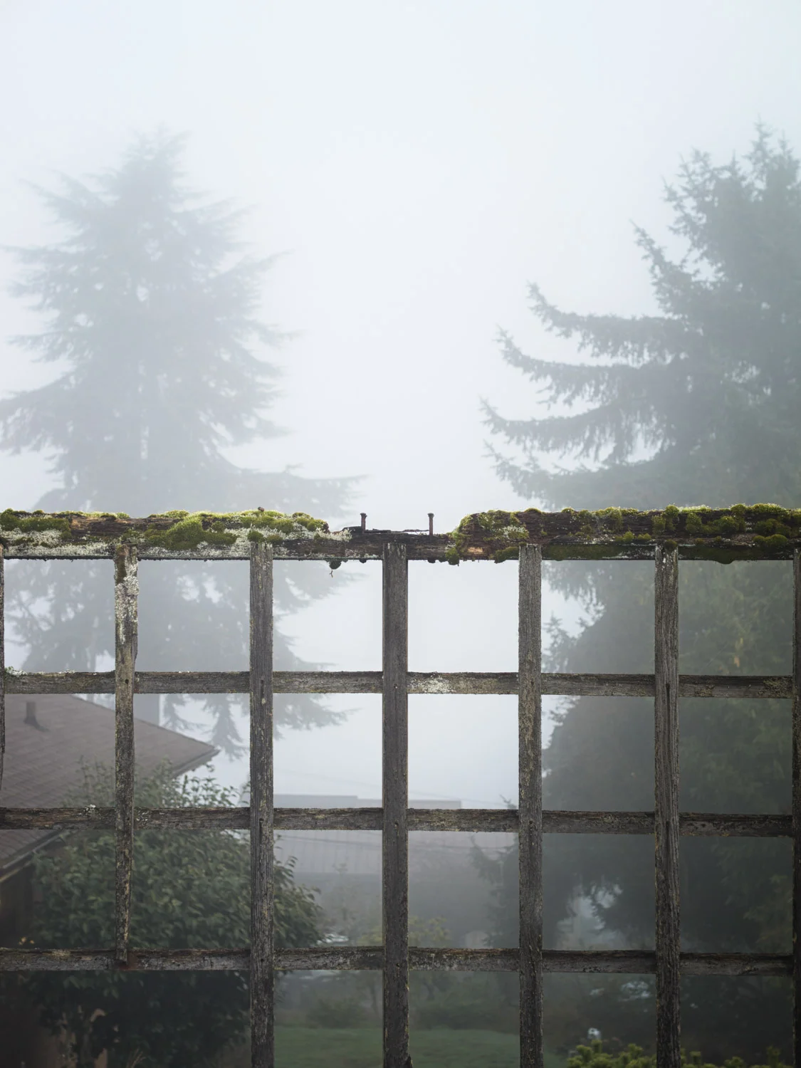seattle06.jpg