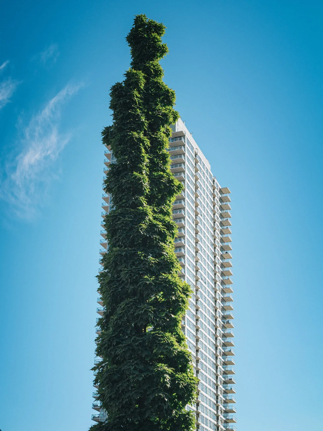 seattle05.jpg