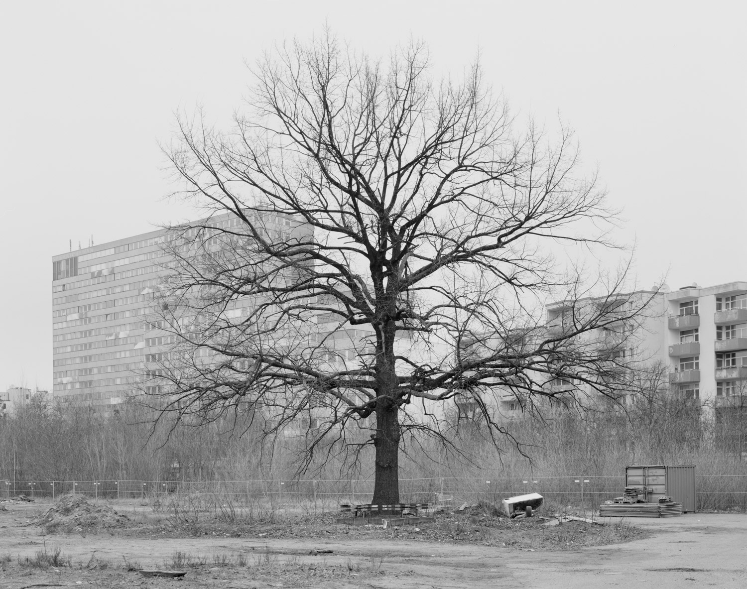 berlin03.jpg