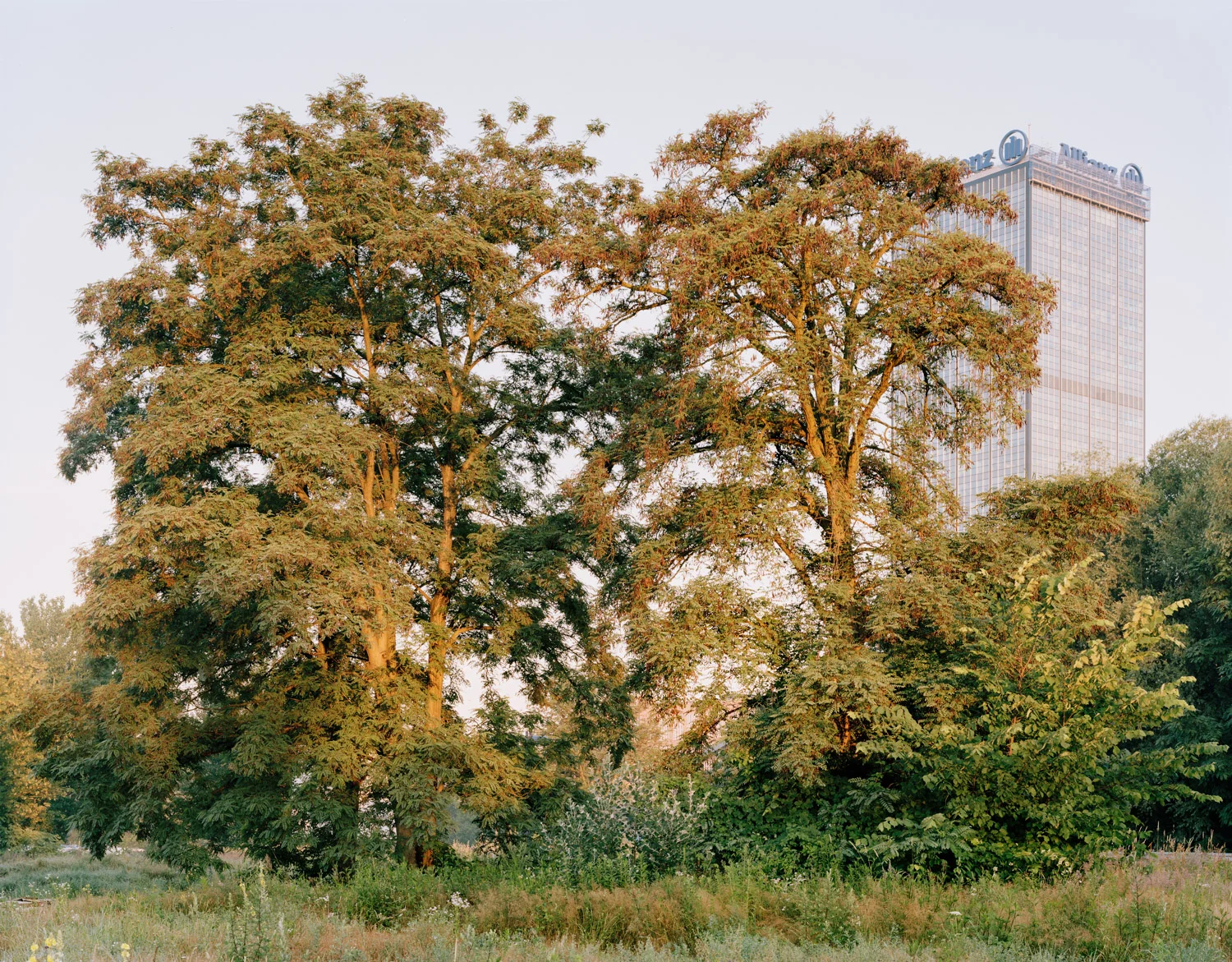 berlin01.jpg