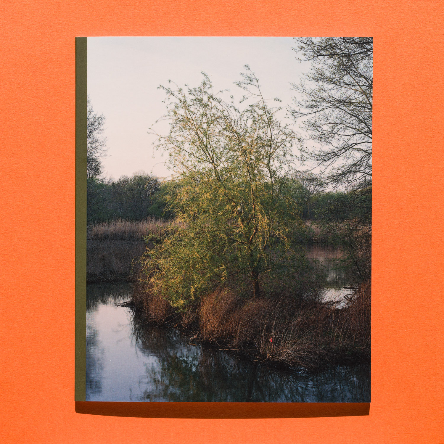 lost_covers02.jpg