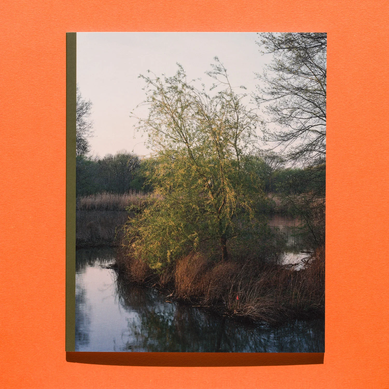 lost_covers02.jpg