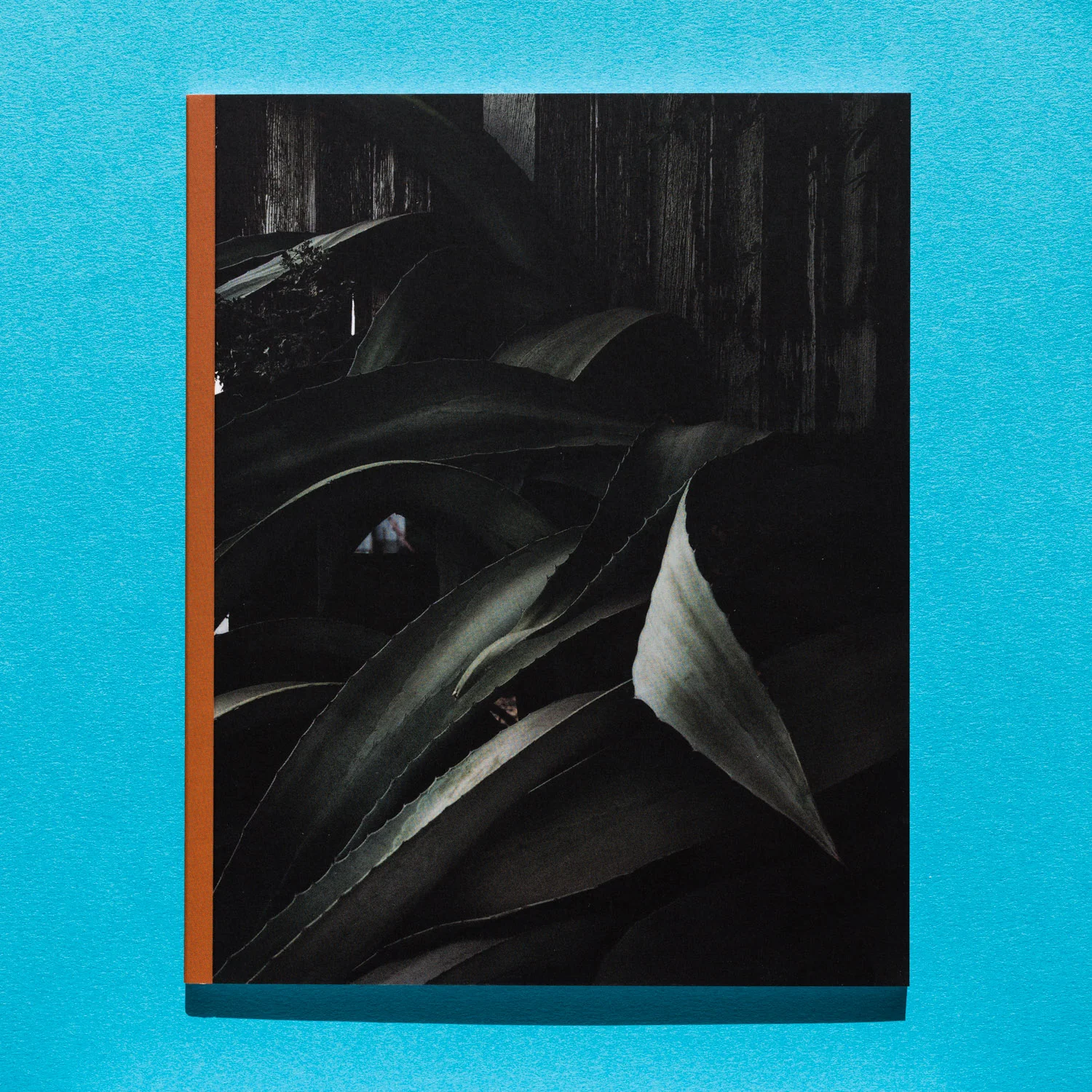 lost_covers07.jpg