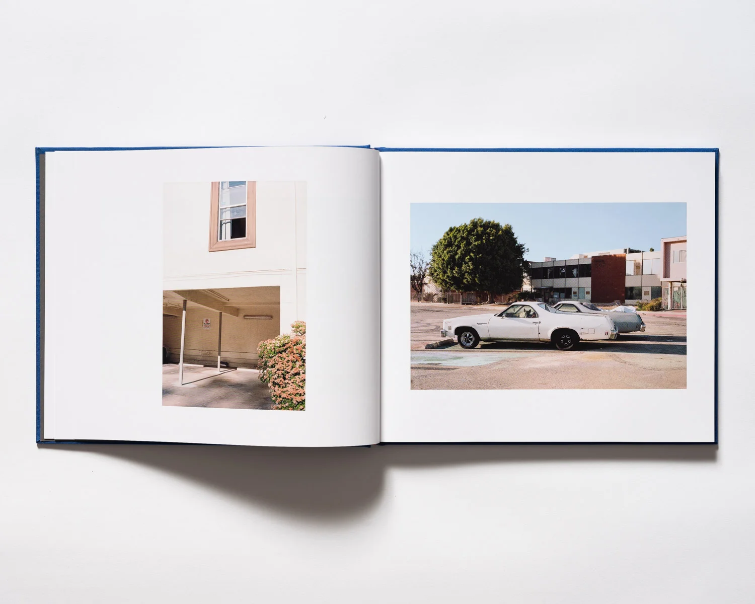 Diggs-LA_004.jpg