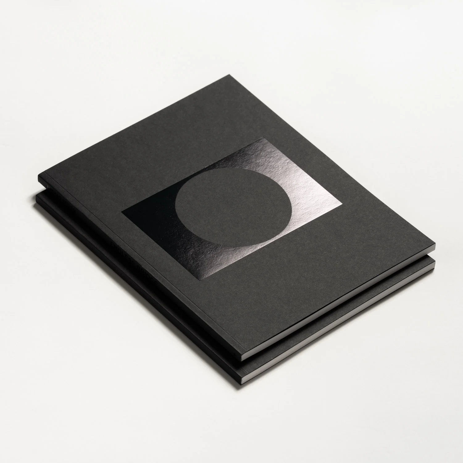 Endless Bridge_002.jpg