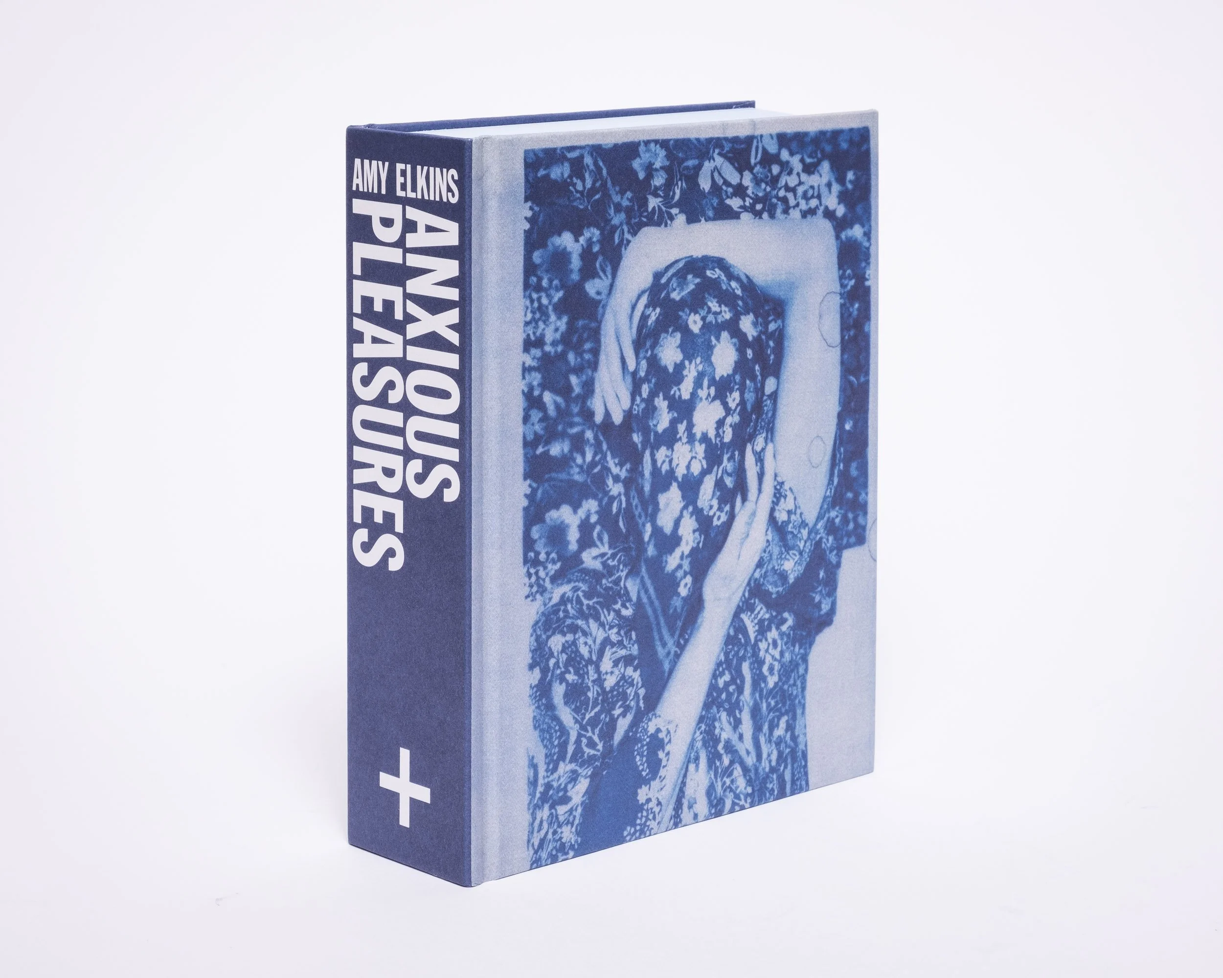 Anxious-Pleasures_018.jpg