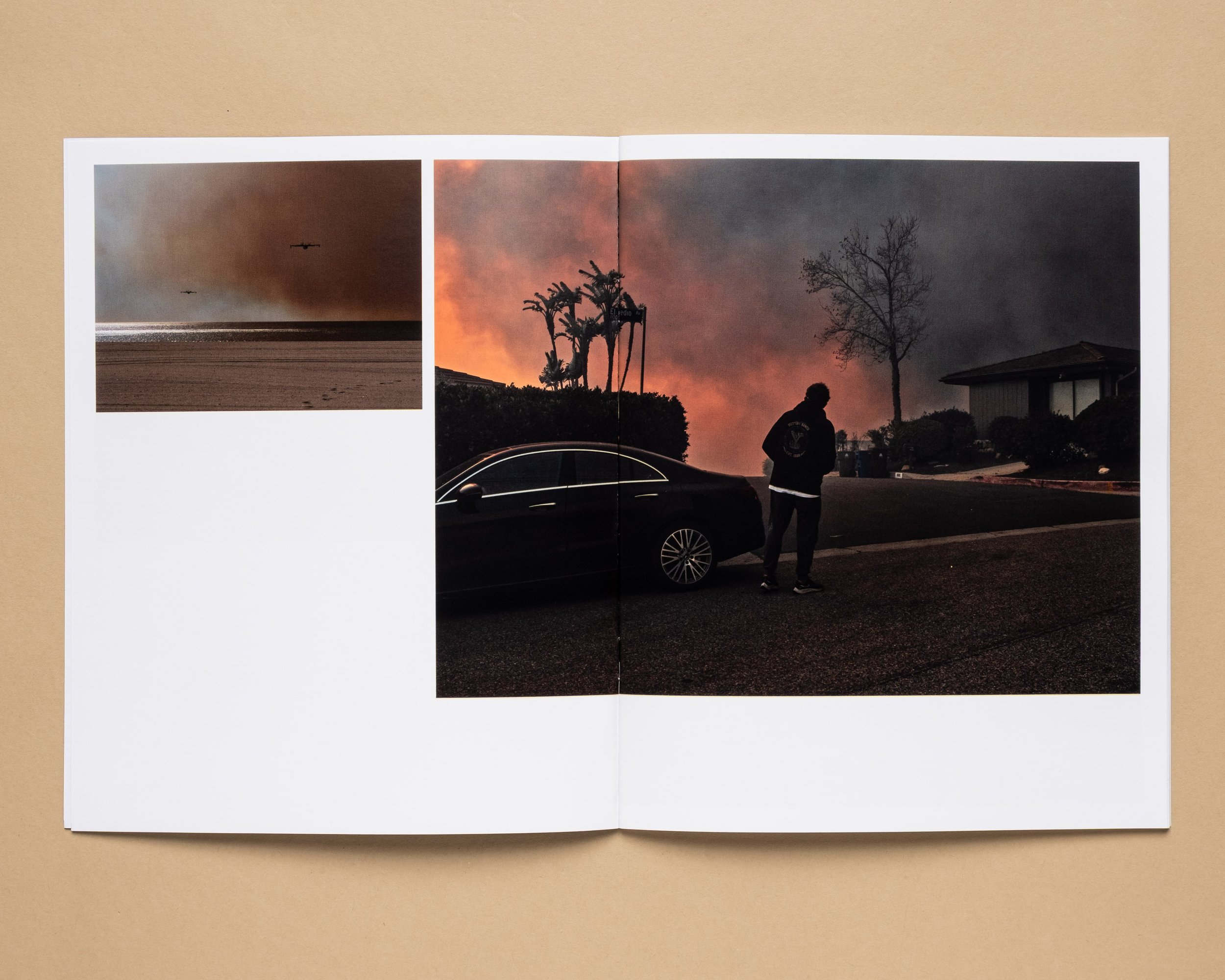 Philip_Cheung_Wildfire_03.jpg