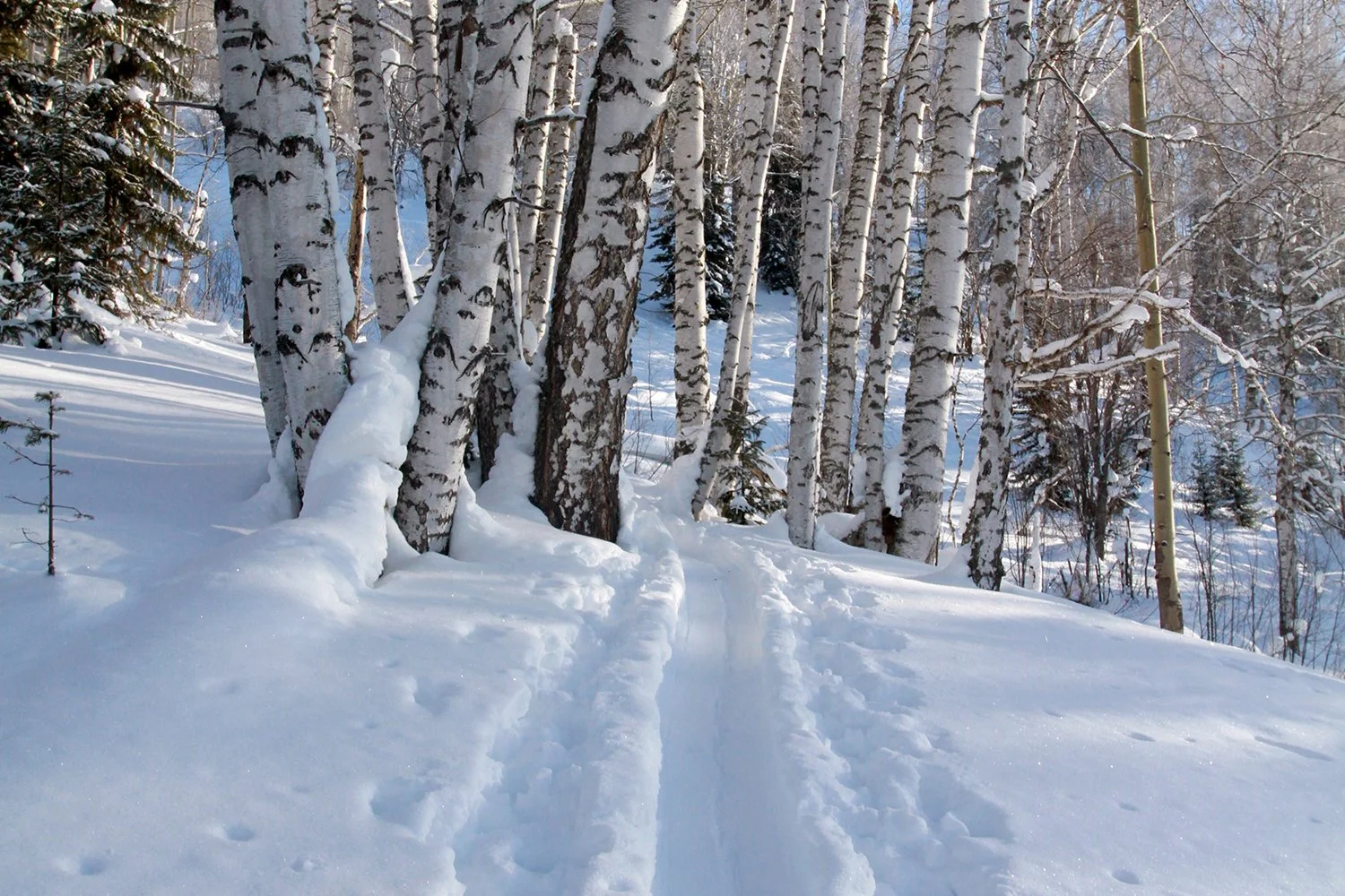 KAZAKHSTAN EXPEDITION — 40 Tribes Backcountry Skiing & Splitboarding
