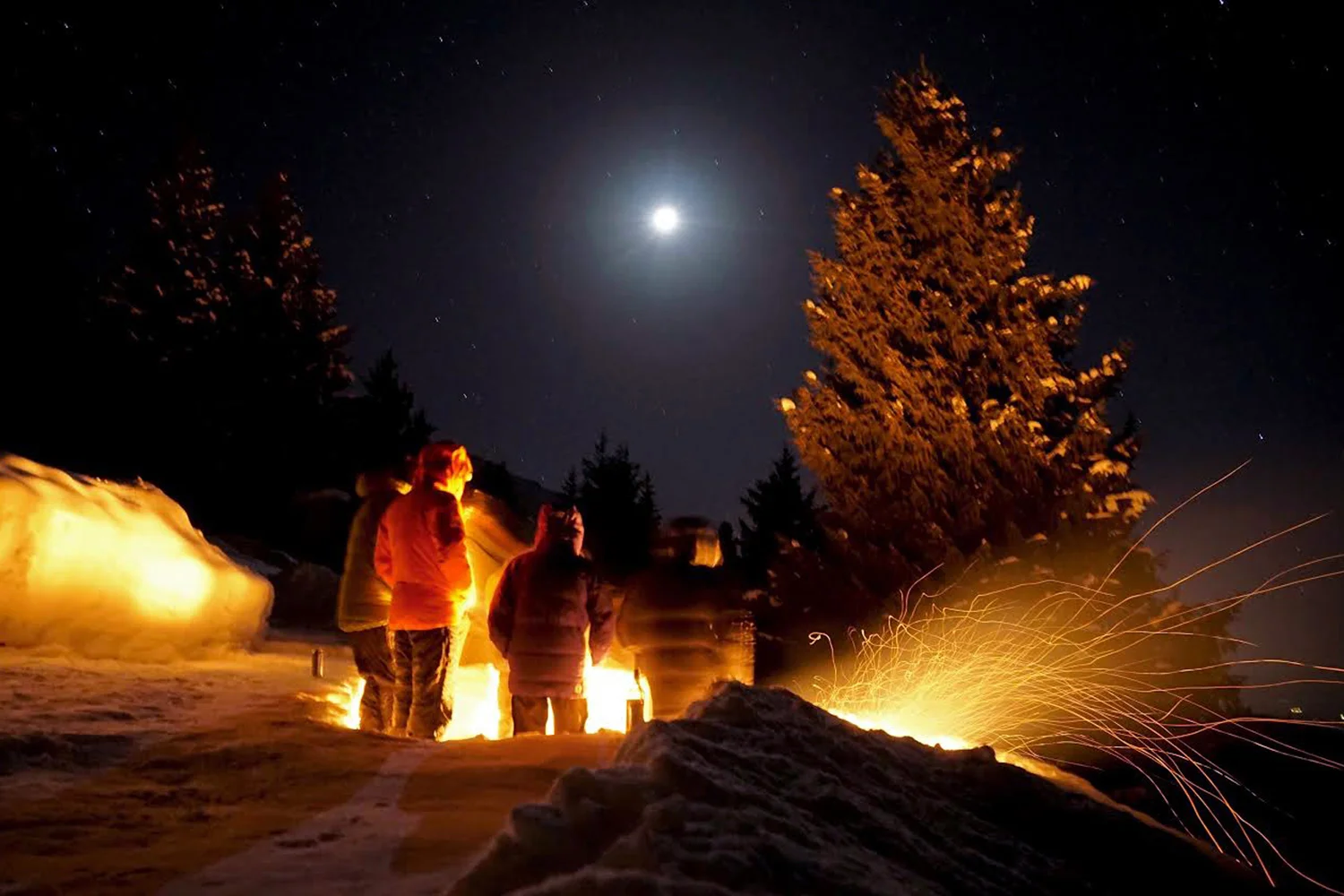 WigglesNightShot2016(2)NEW1500pxWEB.jpg
