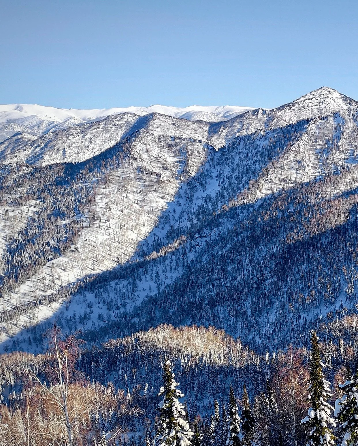 The name of the game for this year&rsquo;s Mystery Trip?

Early season powder smashing in the trees.

And without giving too much away in terms of location, let&rsquo;s just say we&rsquo;re committing to going this far because soft and deep condition