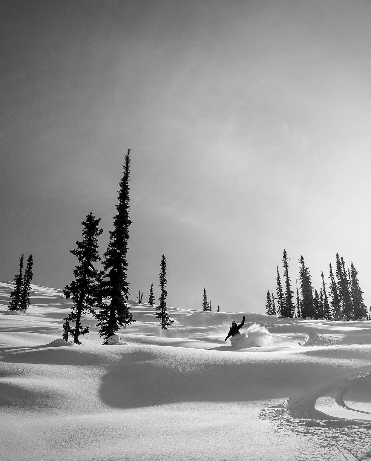 Mystery Trip 6.0 is now full and a few storms have already unleashed on our destination. Stoked for this one!!!! Can&rsquo;t think of a better way to kick off 2026 than with some #earlyseasonpowdersmashing 💥

#40tribes #mysterytrip #amysterytogodown