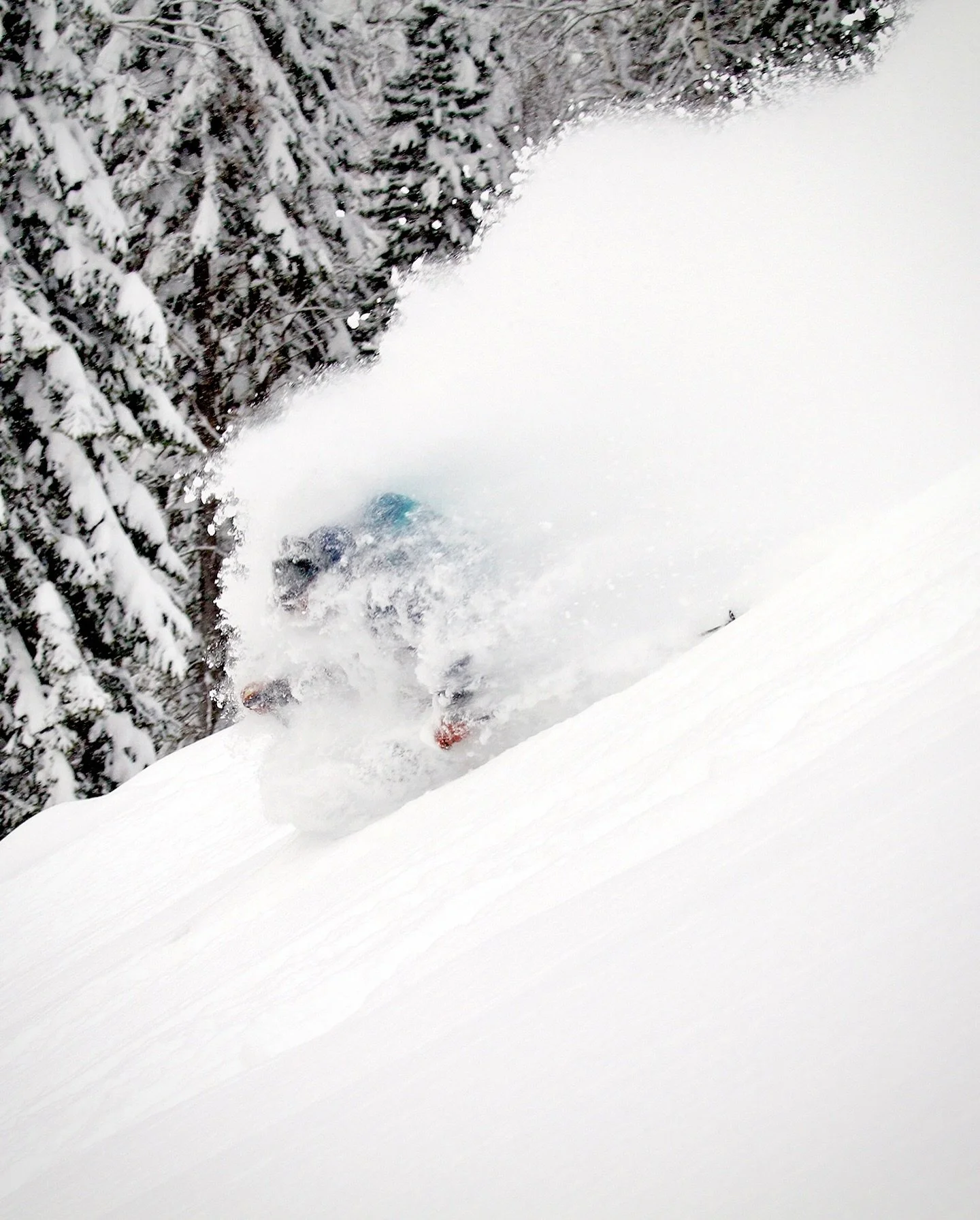 Our generous partners are once again extending discounts to our clients:

@zealoptics 25% OFF
@backcountryaccess 15% OFF
@phantomsnowindustries 10% OFF
@pogoboards 10% OFF

Booked with us this season? DM for a code! Gear up while the snow stacks up!!